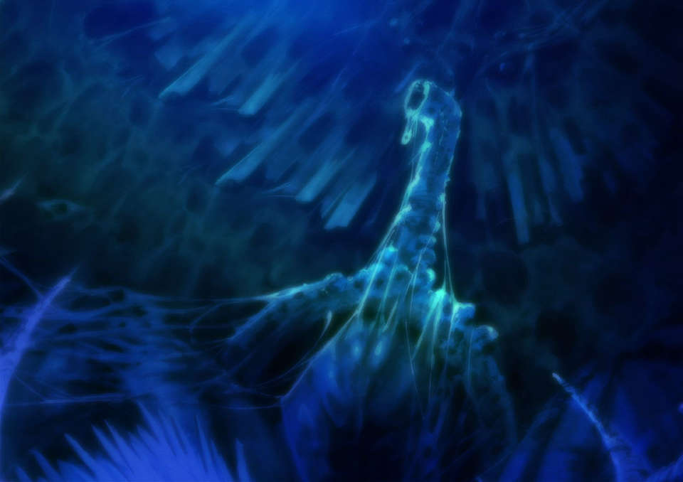 7cc080df