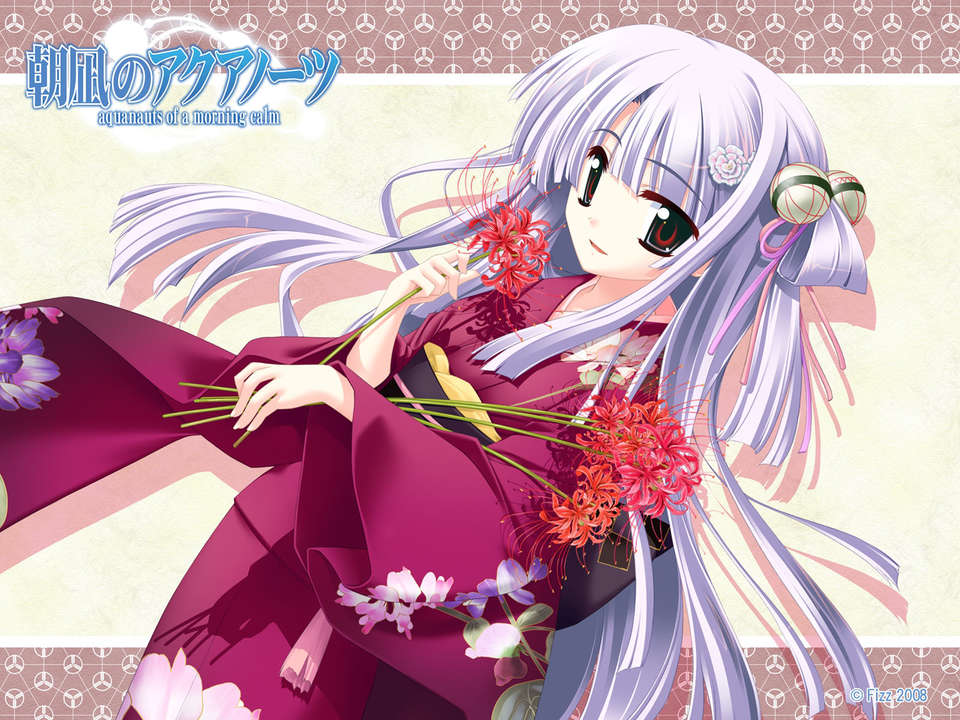 2007_9UXGA