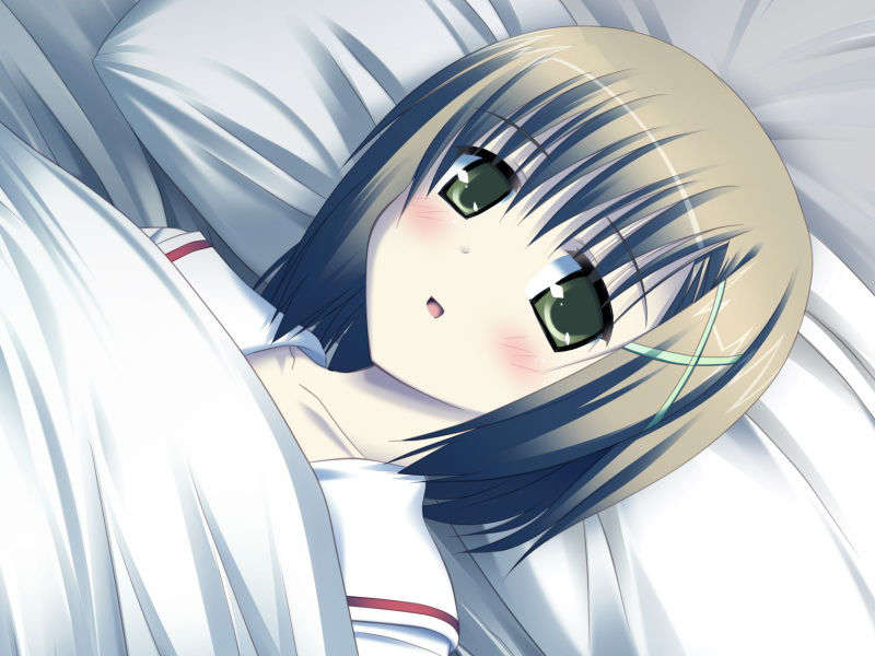 EVAY0404