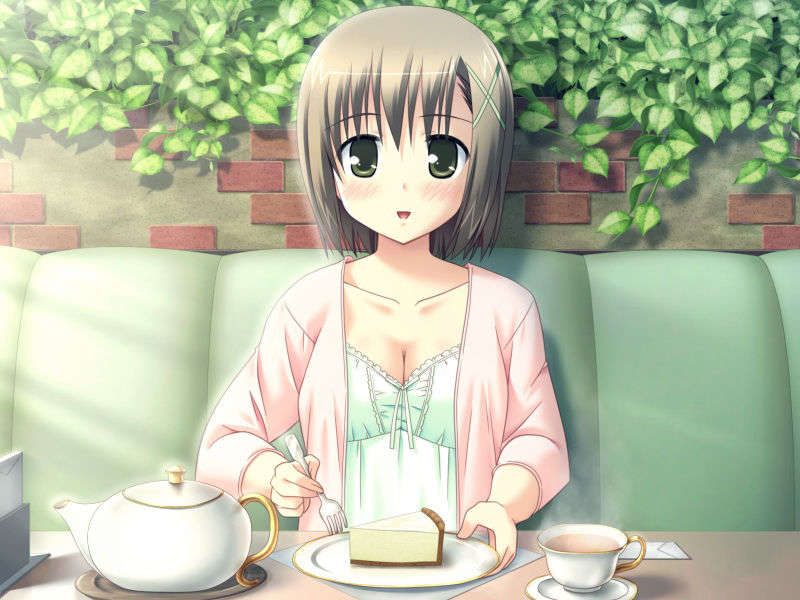 evay0304