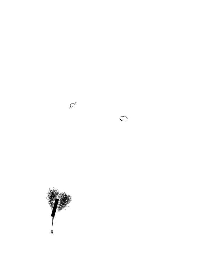 J01b