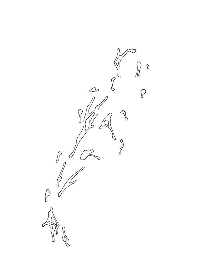 J01e