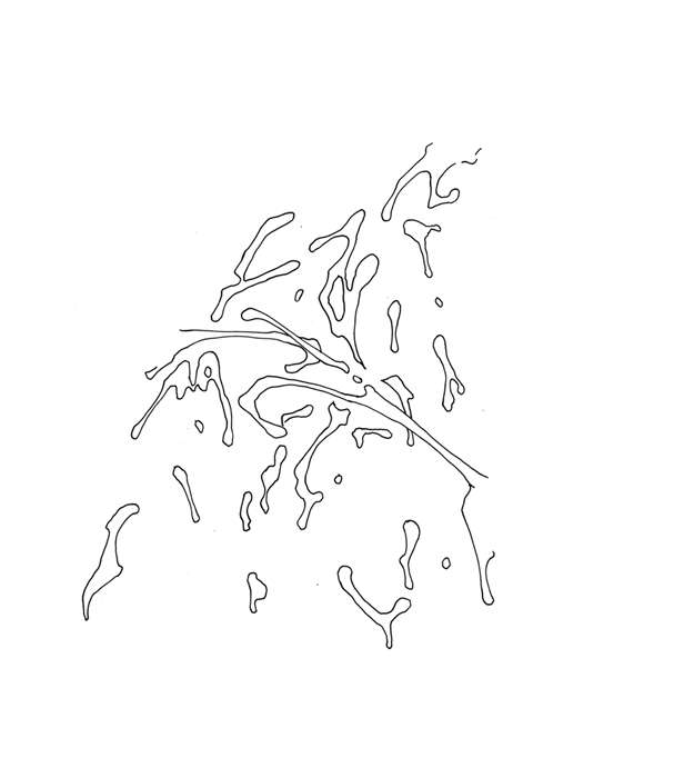 J02c