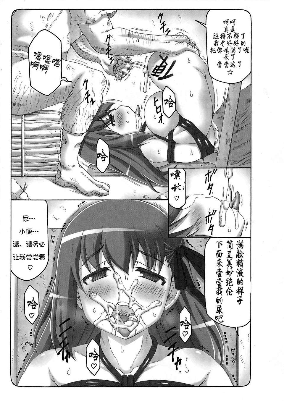 DONG12-12