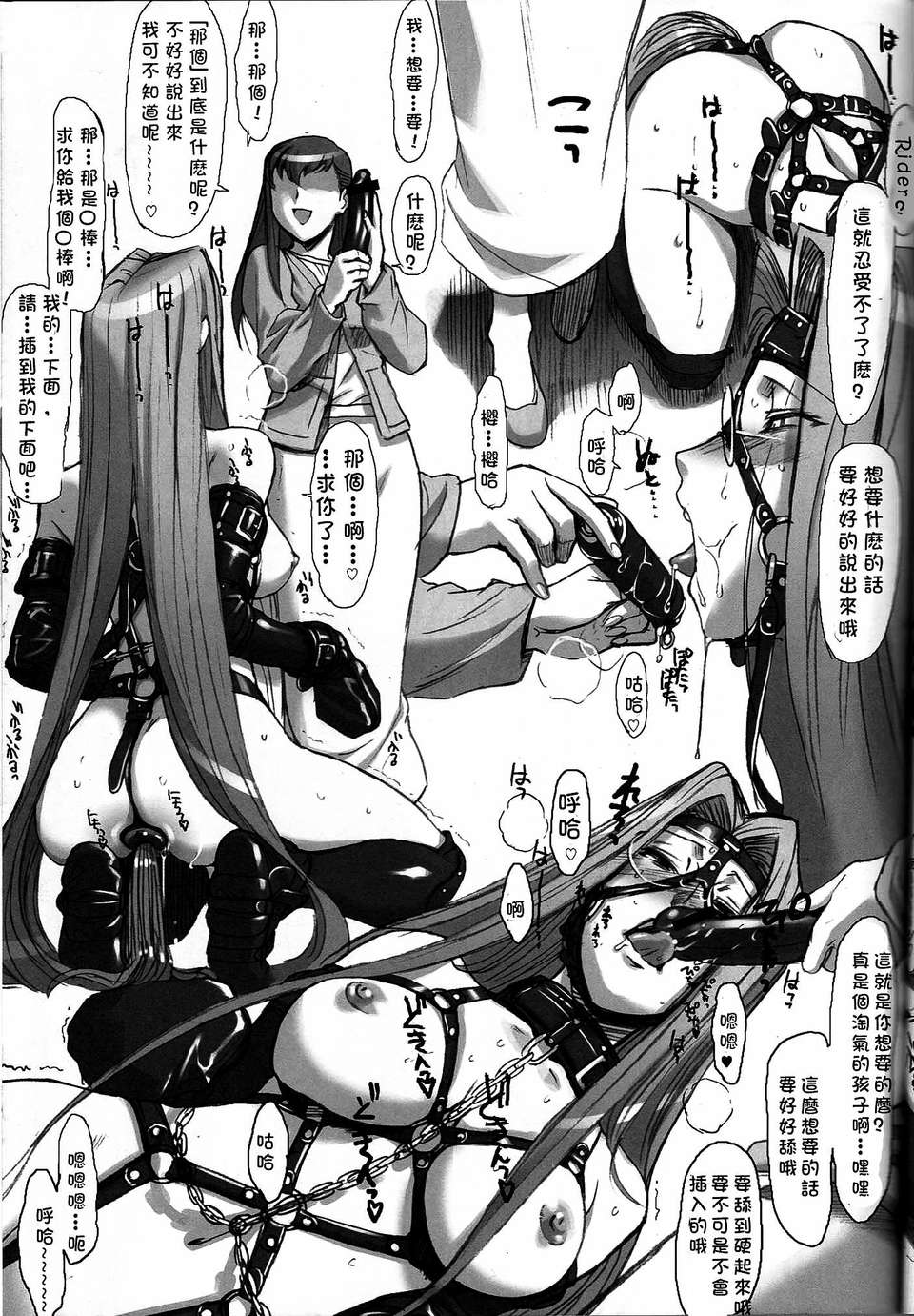 DONG14-12