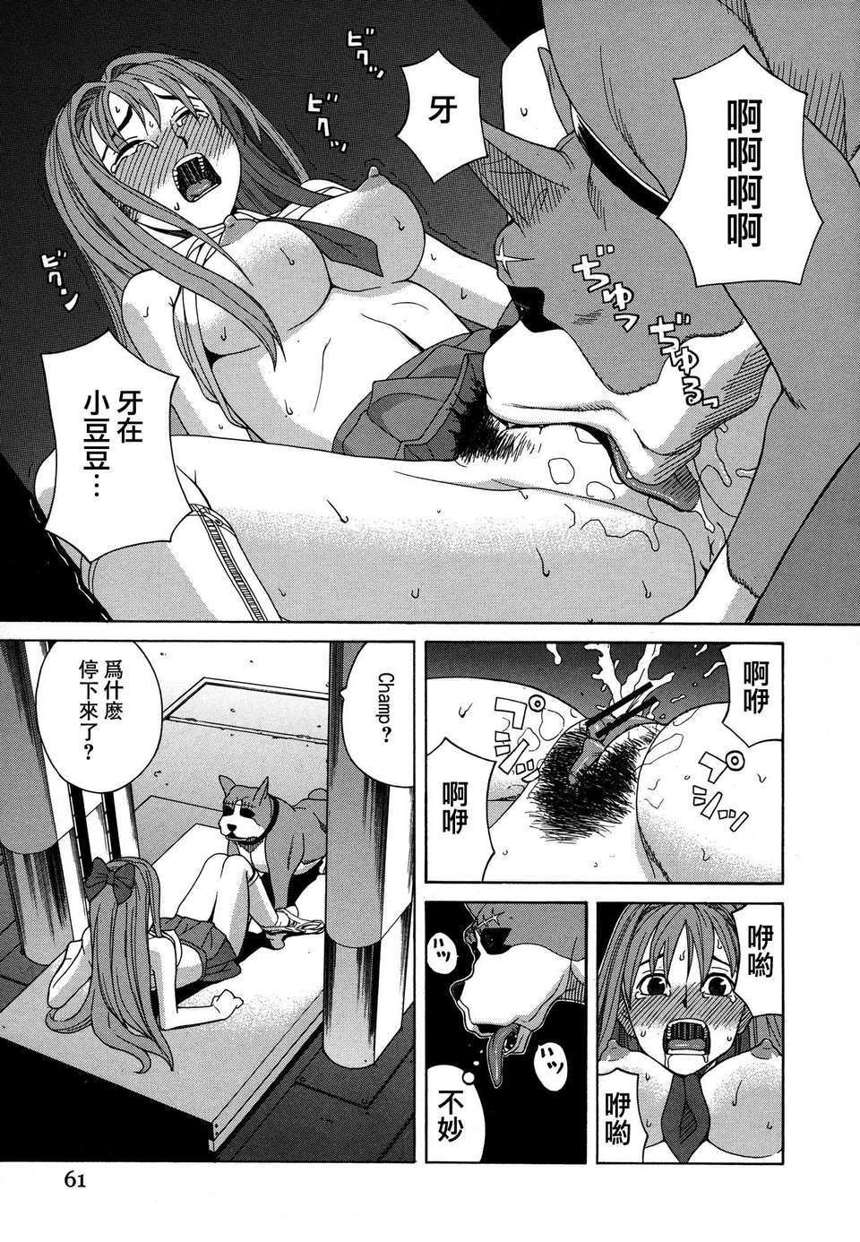 061
