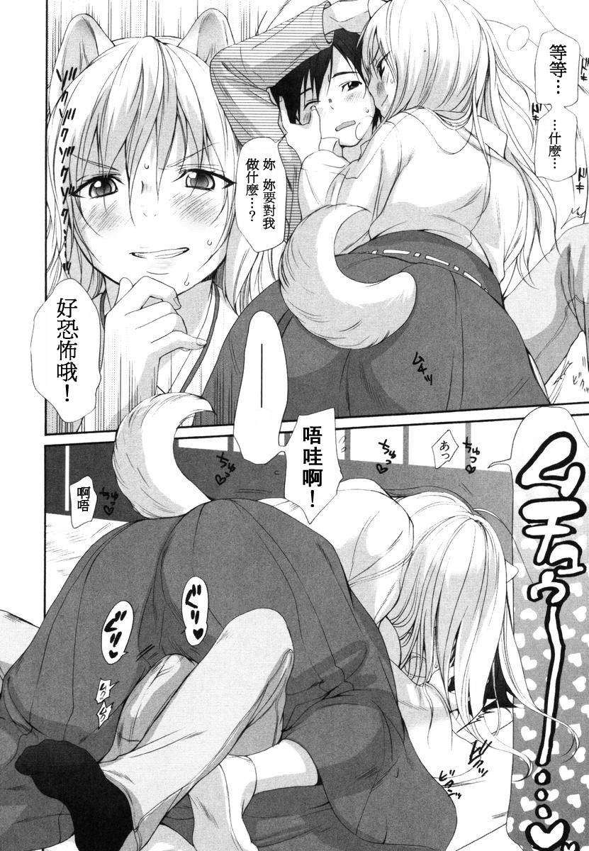 inu_246