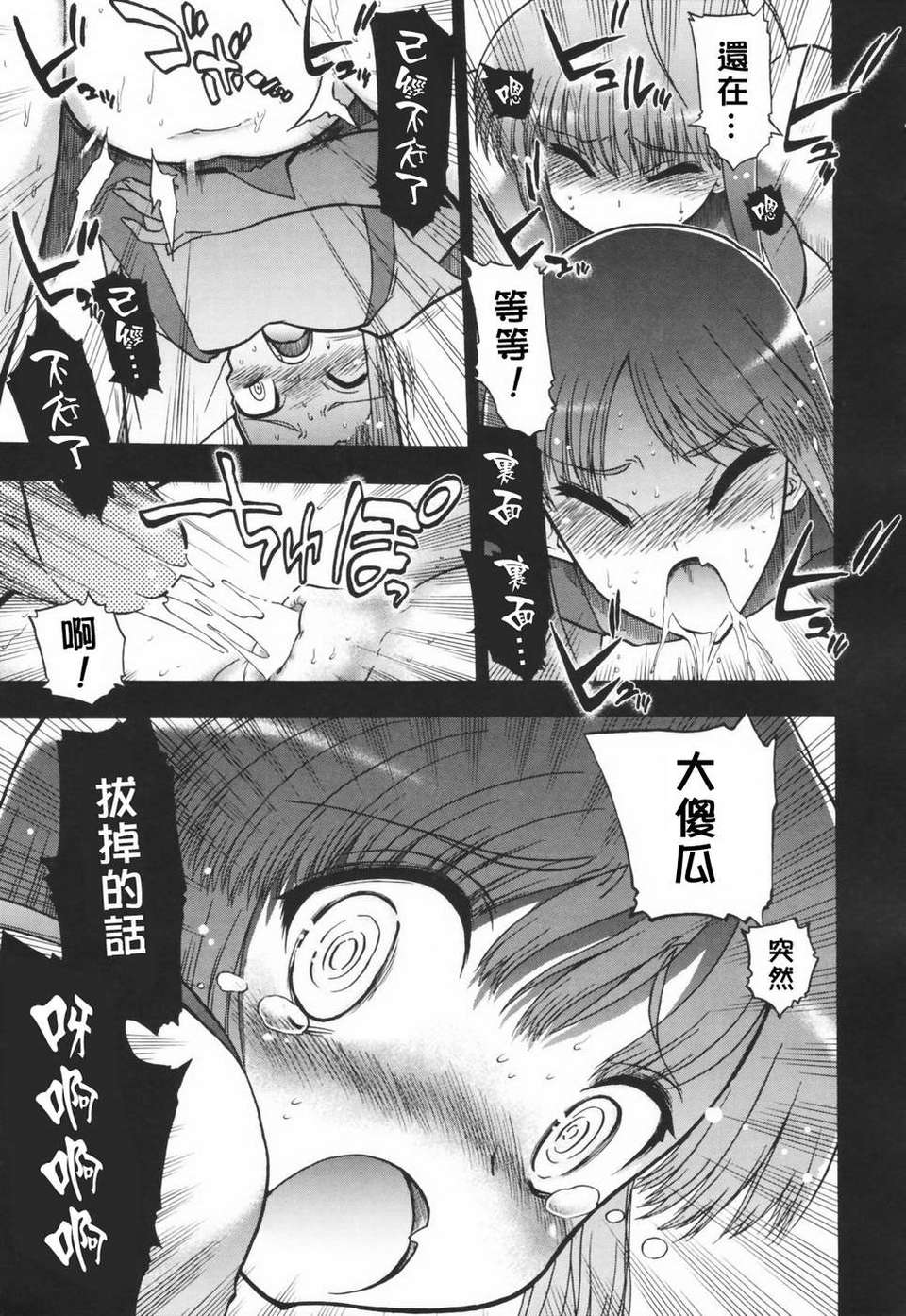 HMSection9_003_133