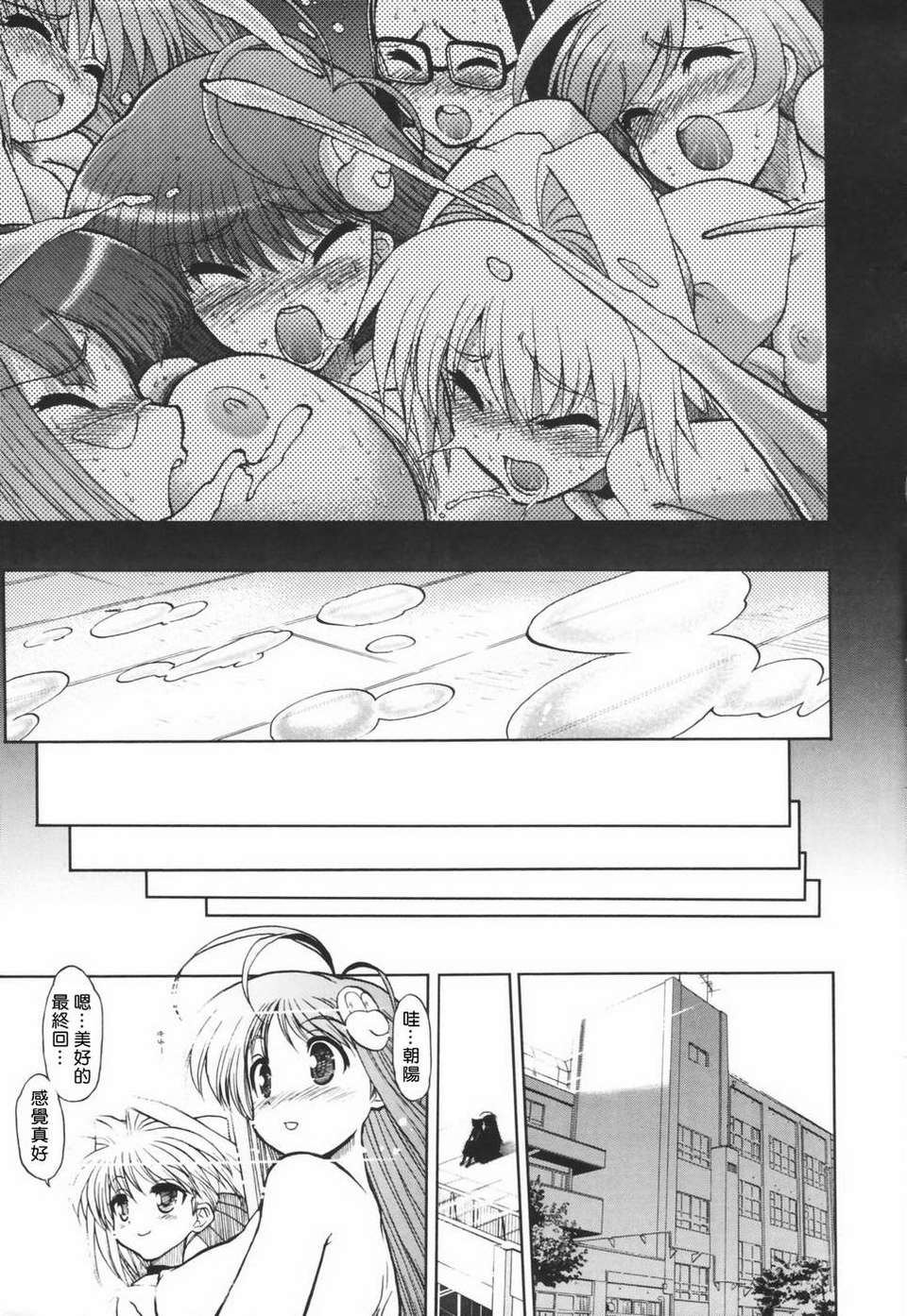 HMSection9_003_195