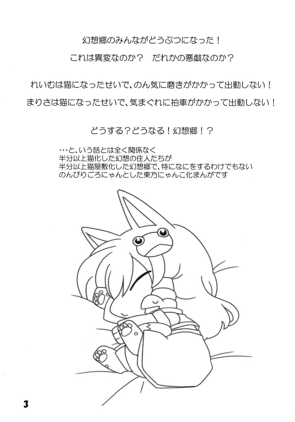 Neko_03