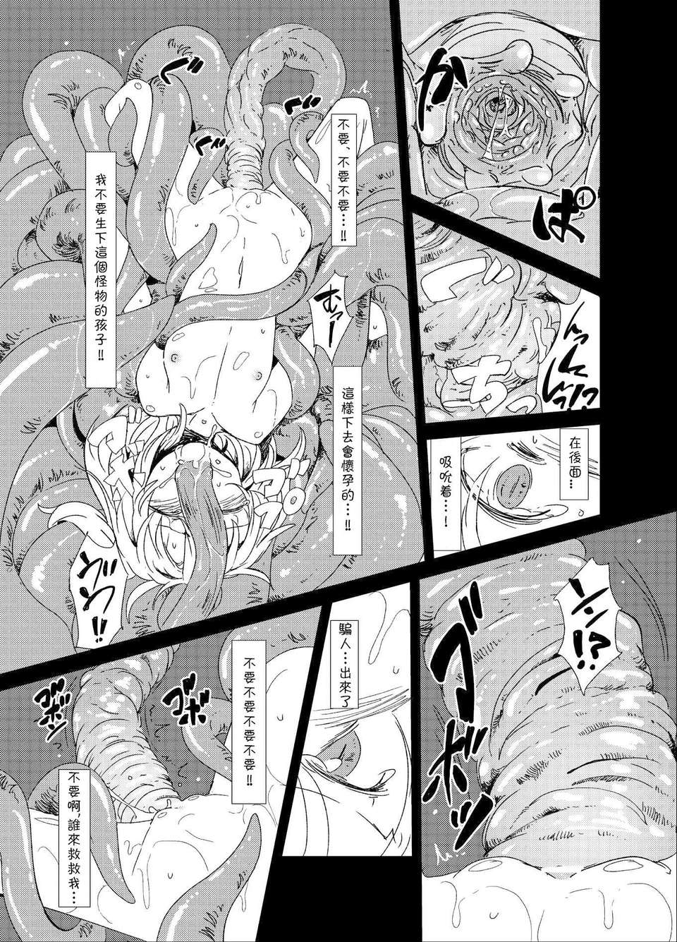 13_fran_011