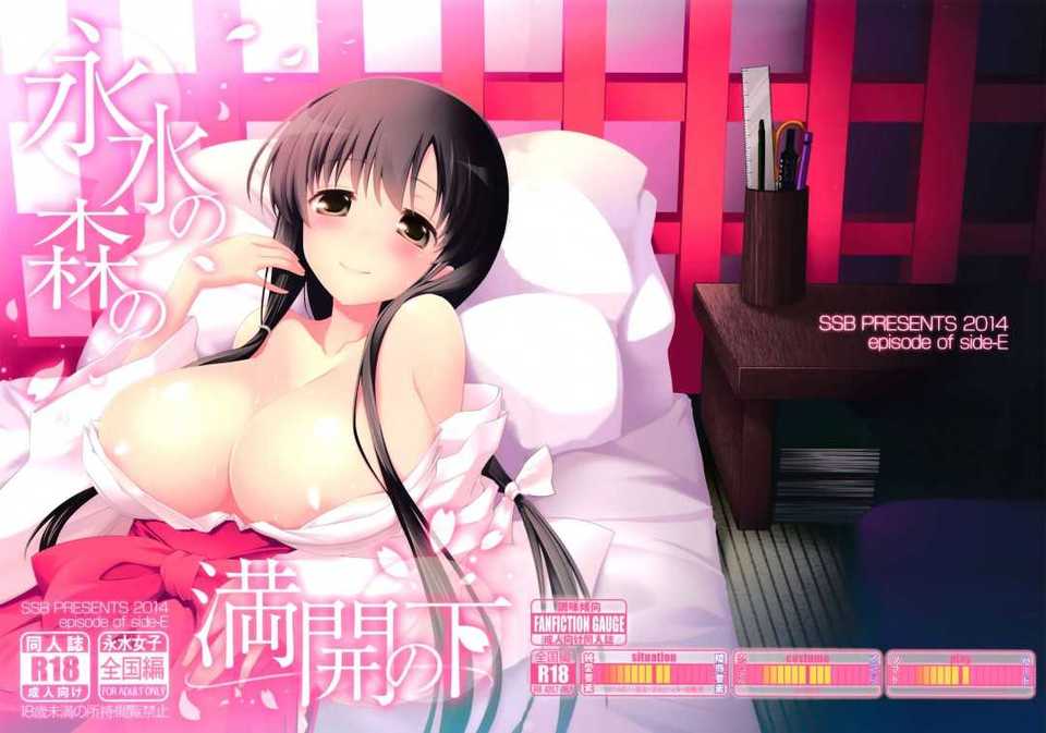 CE_492_027
