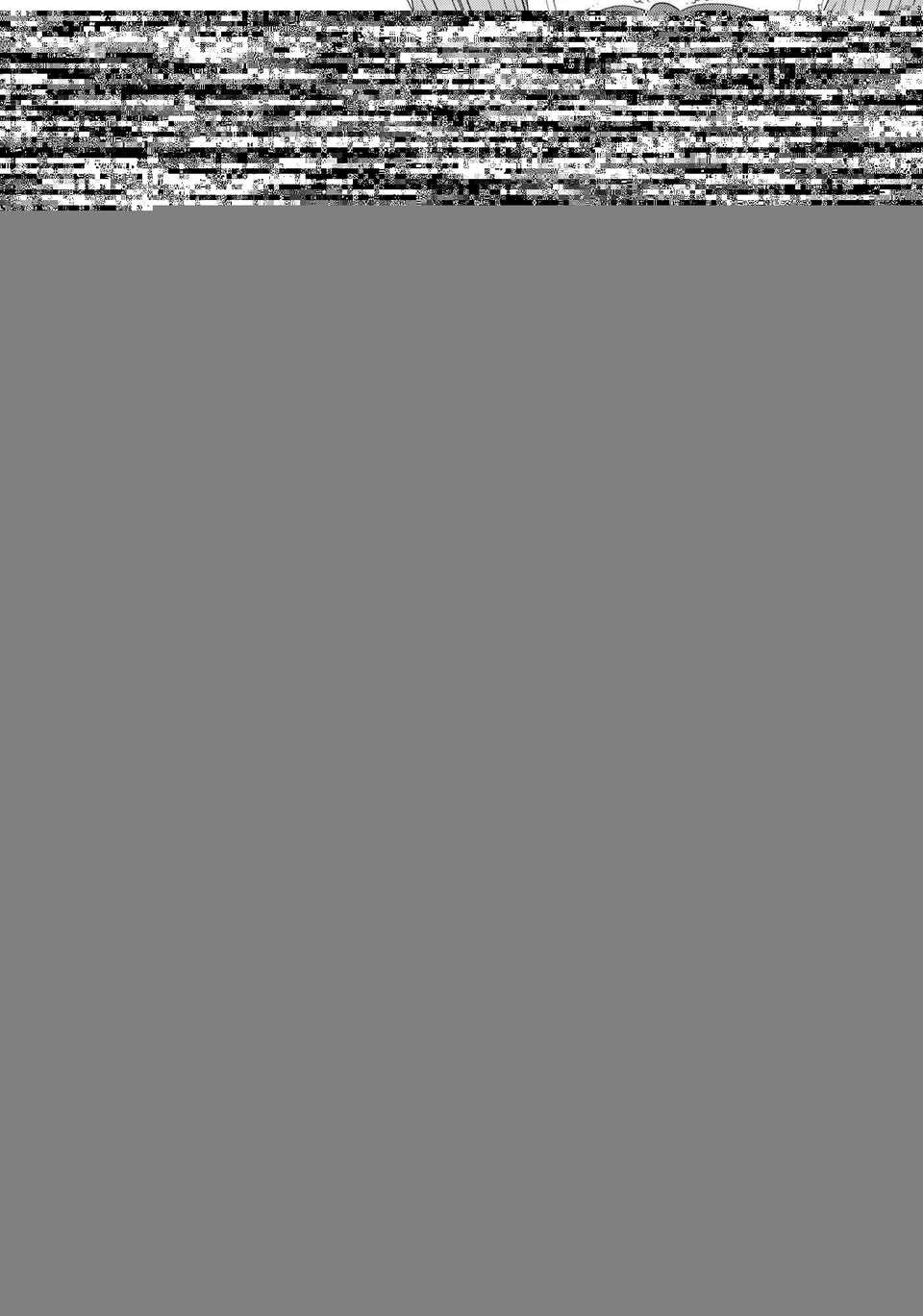 CE_594_027