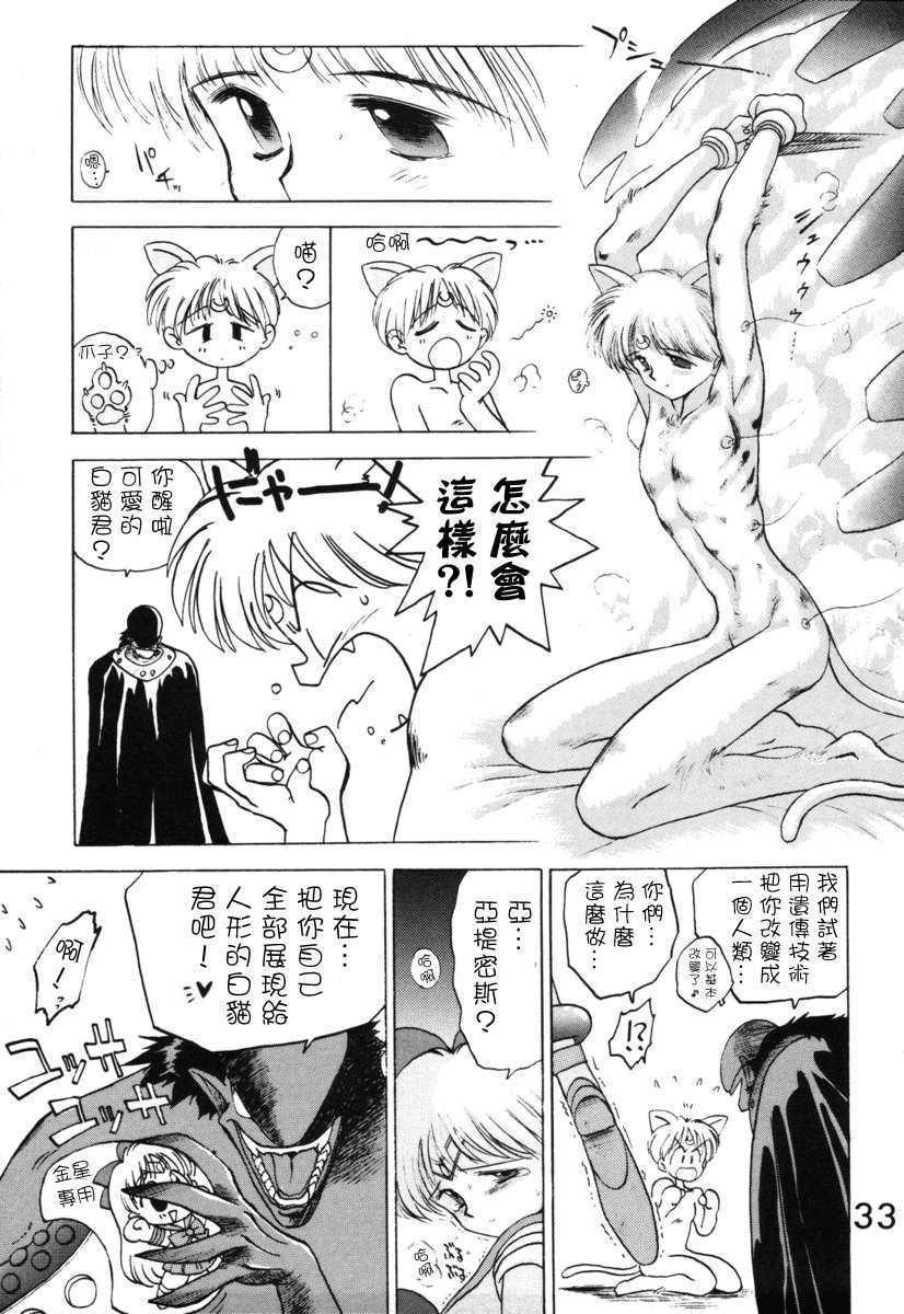 33_submission_venus_32