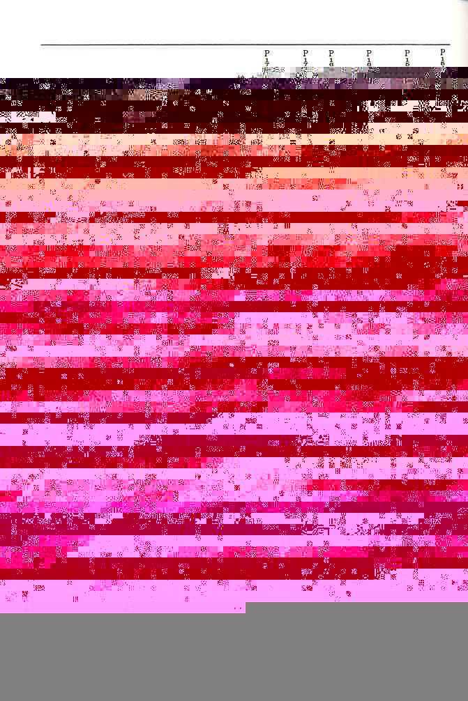 lovedeluxe4_37