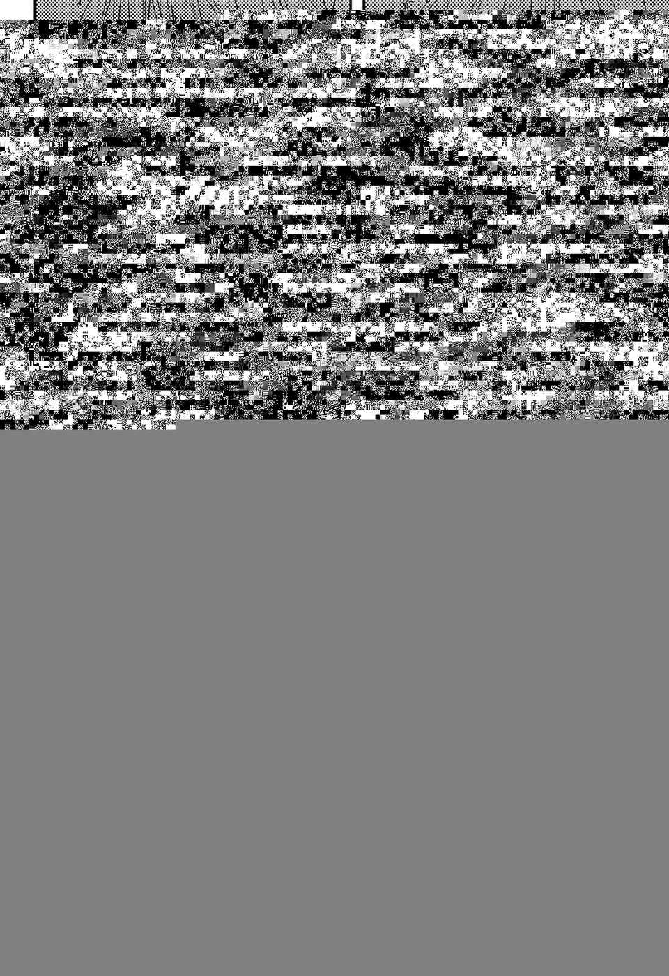 064