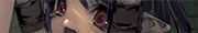 sum_coloph_006l