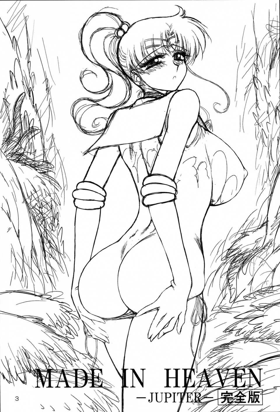 003
