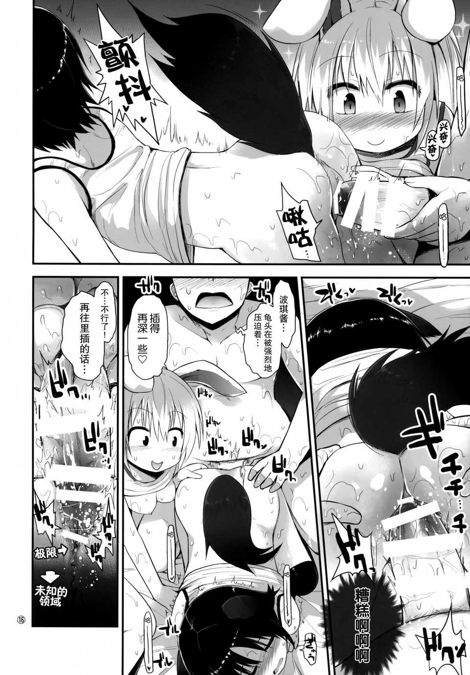 img (15)