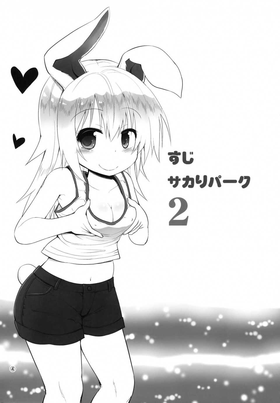 img (3)