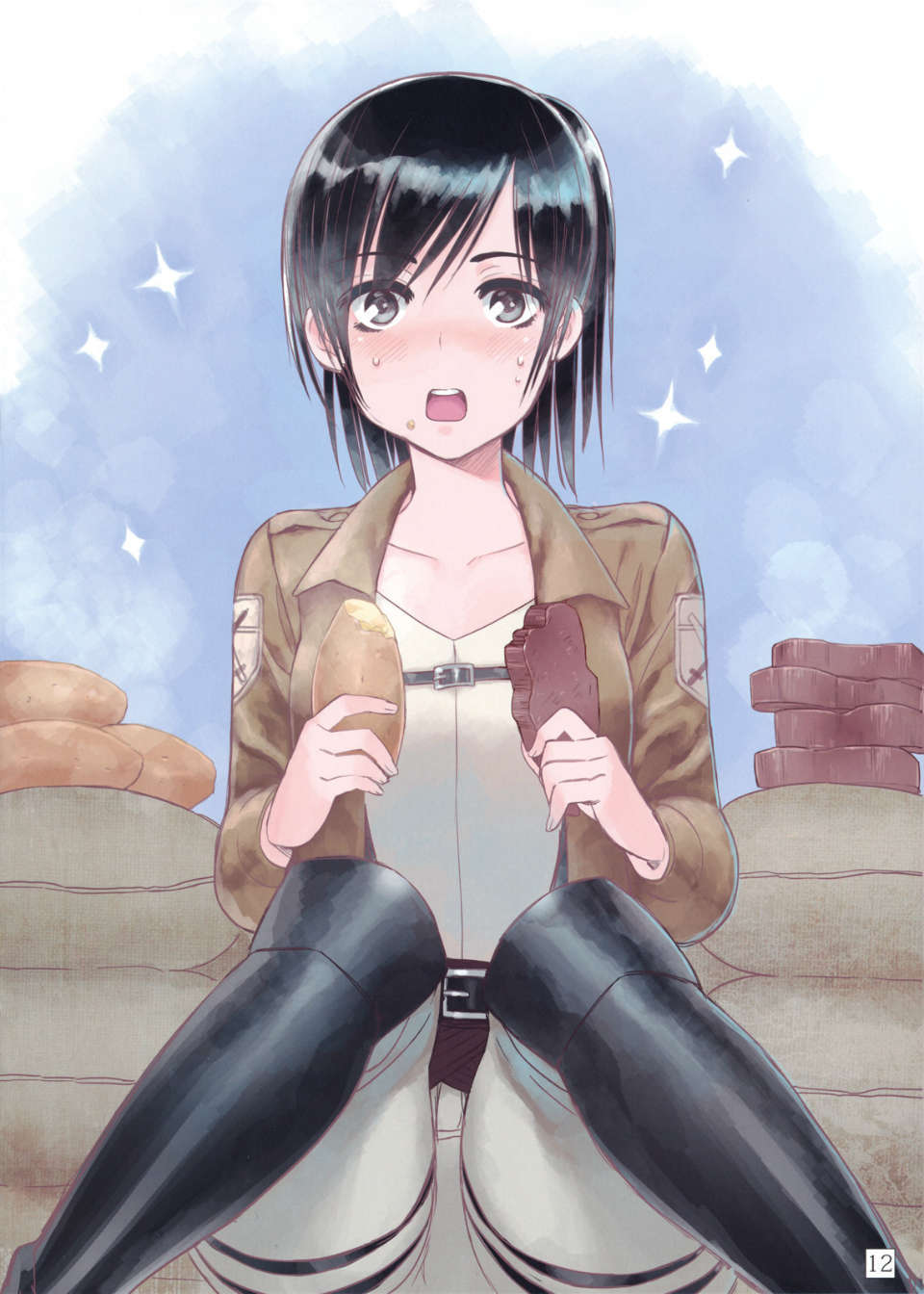 Shingeki02_0012