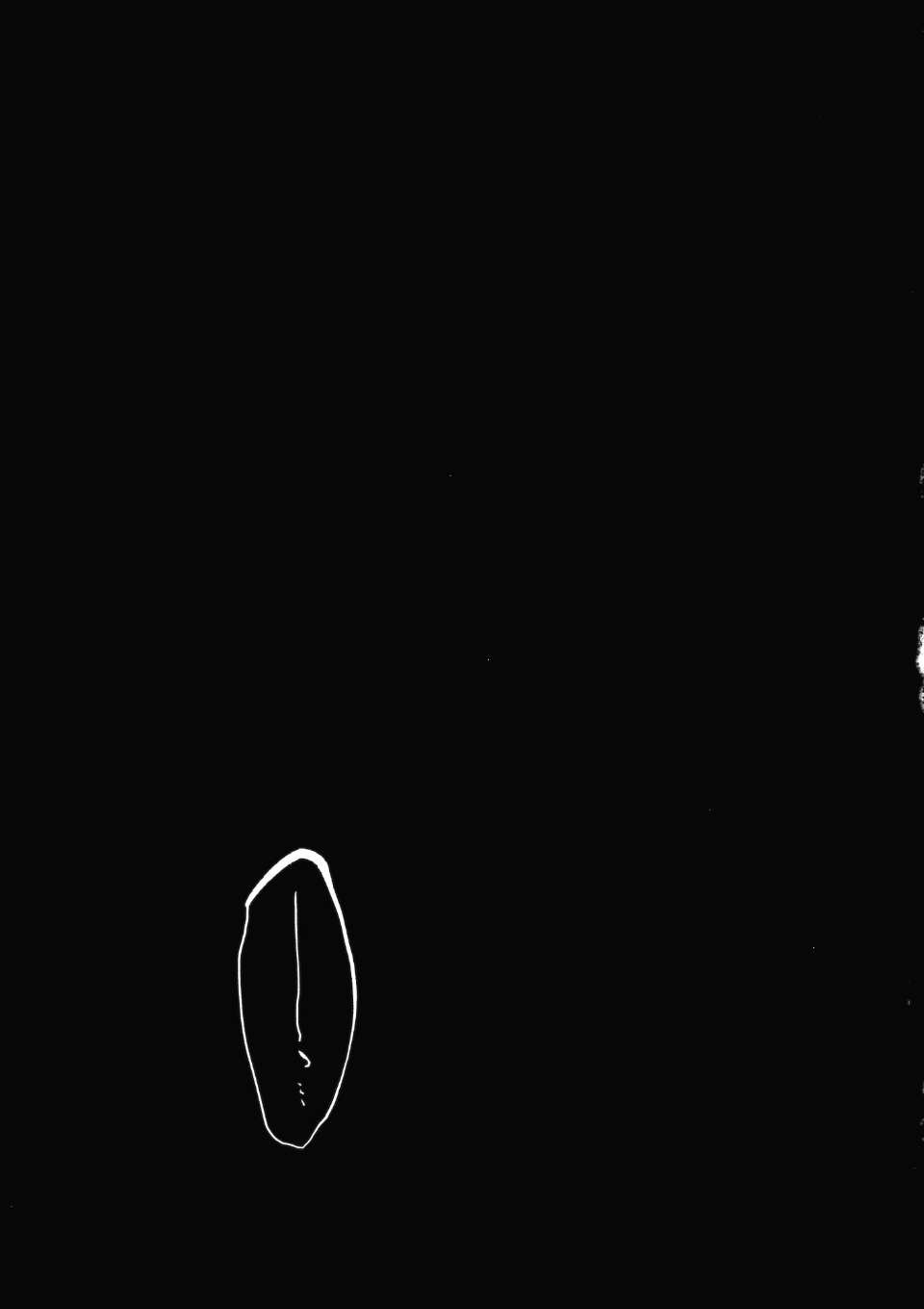 0024