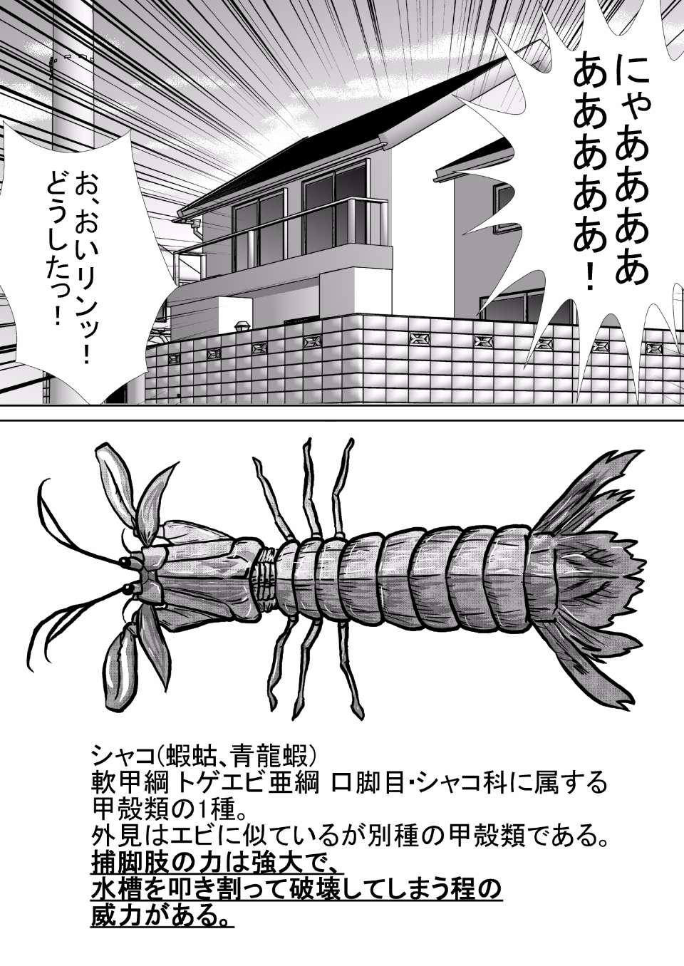 chitsu_17
