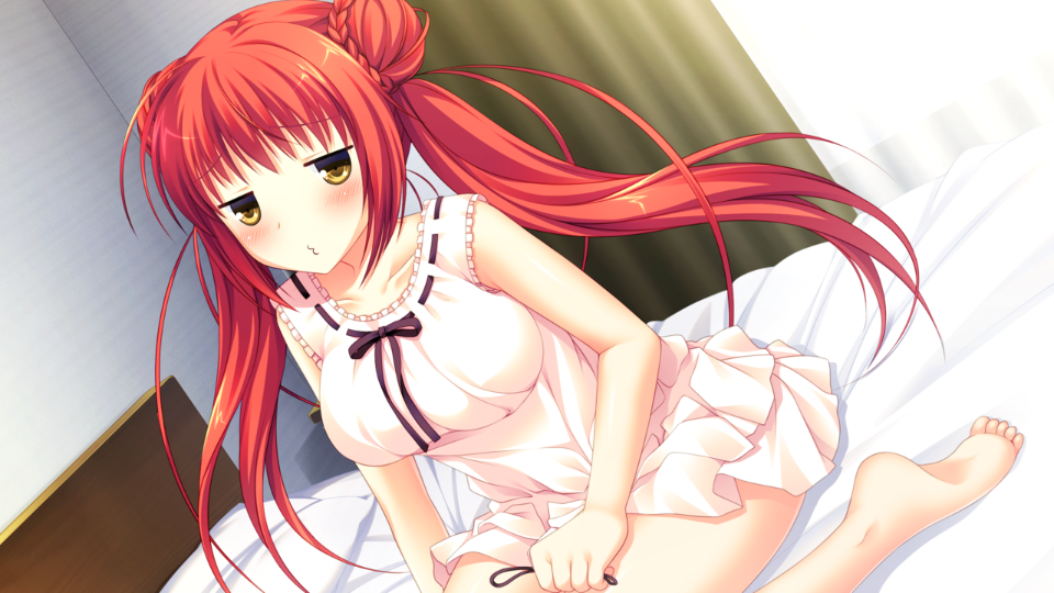 img045_ev_hikari_03_h
