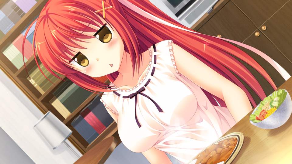 img118_ev_hikari_10_b