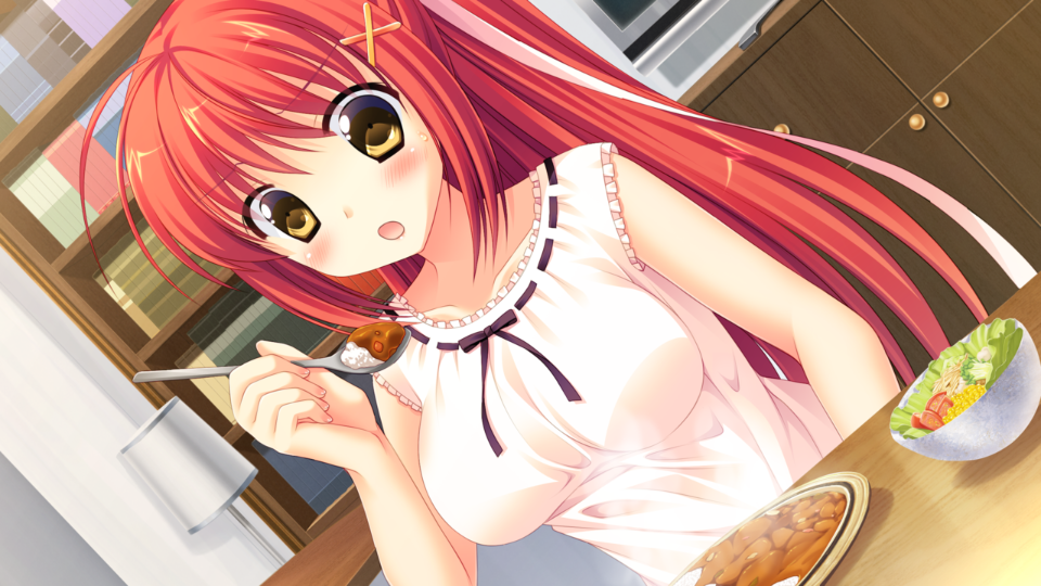 img121_ev_hikari_10_e