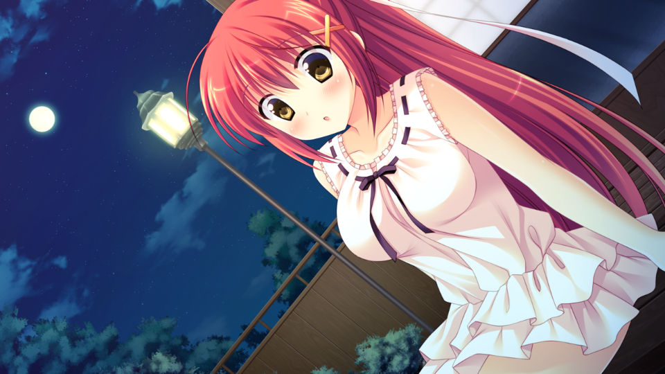 img184_ev_hikari_18_e
