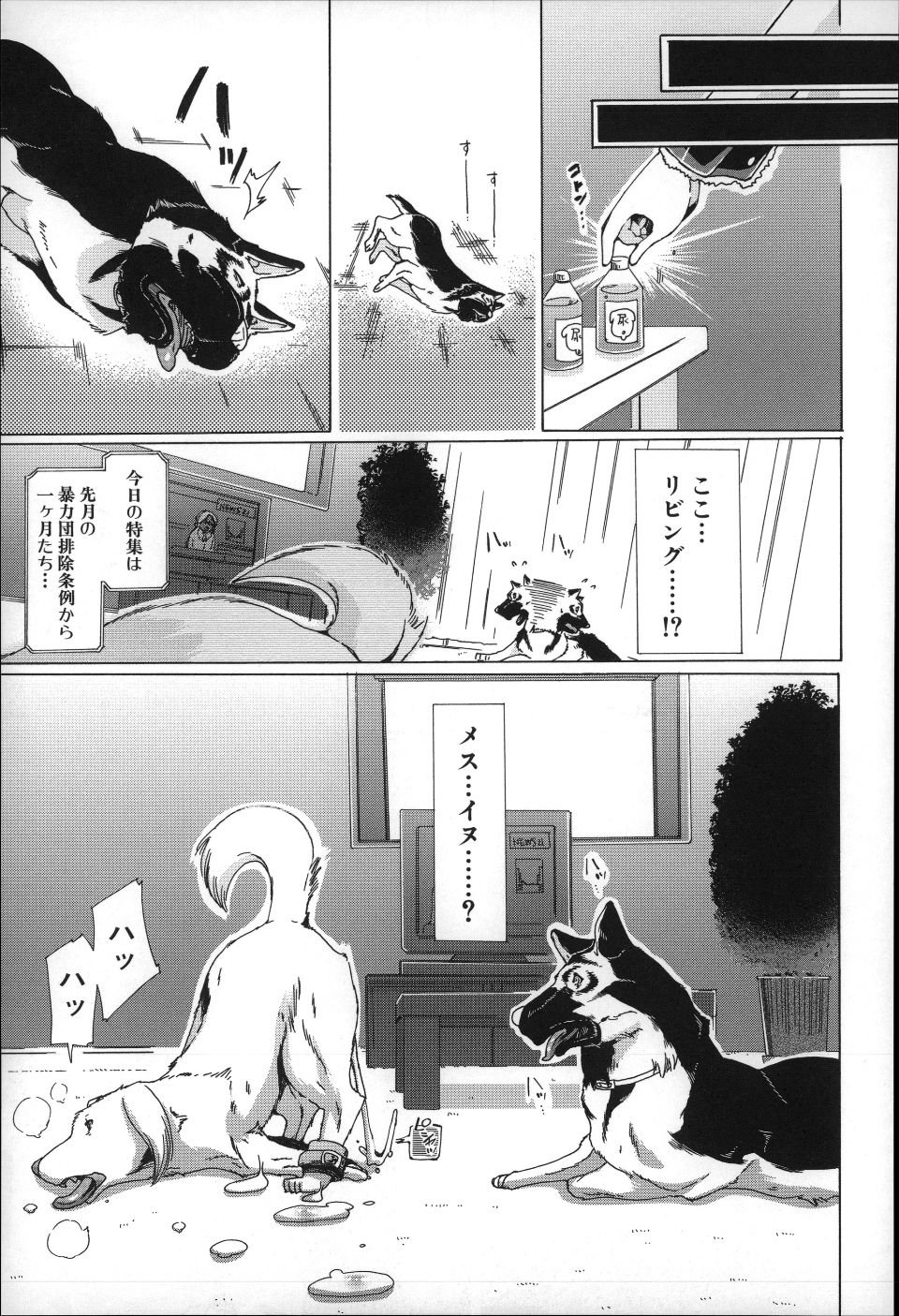 P115
