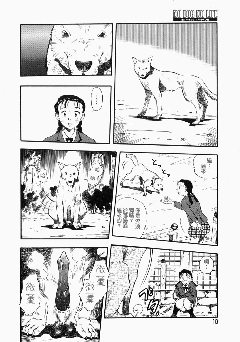 nodognolife_010