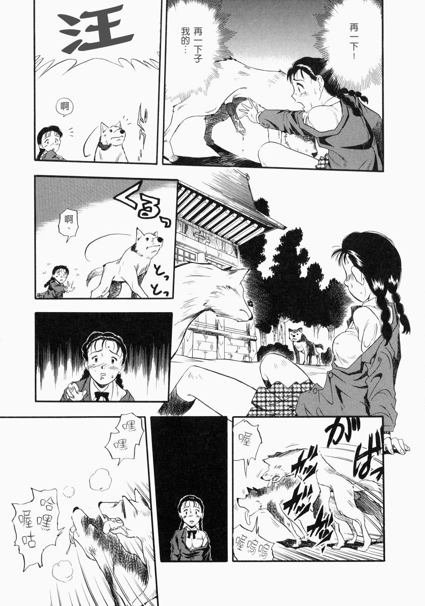 nodognolife_017
