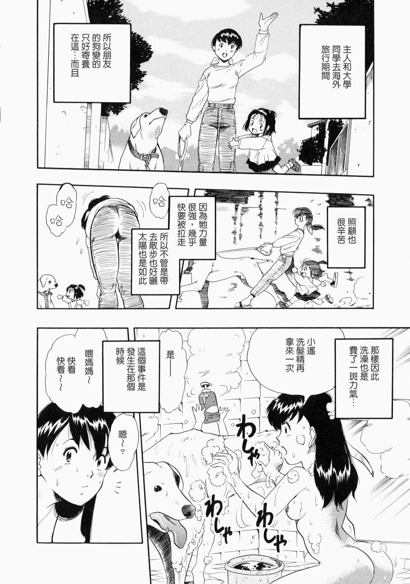 nodognolife_072