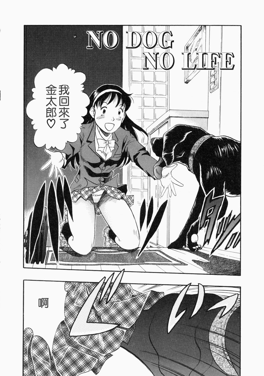 nodognolife_104