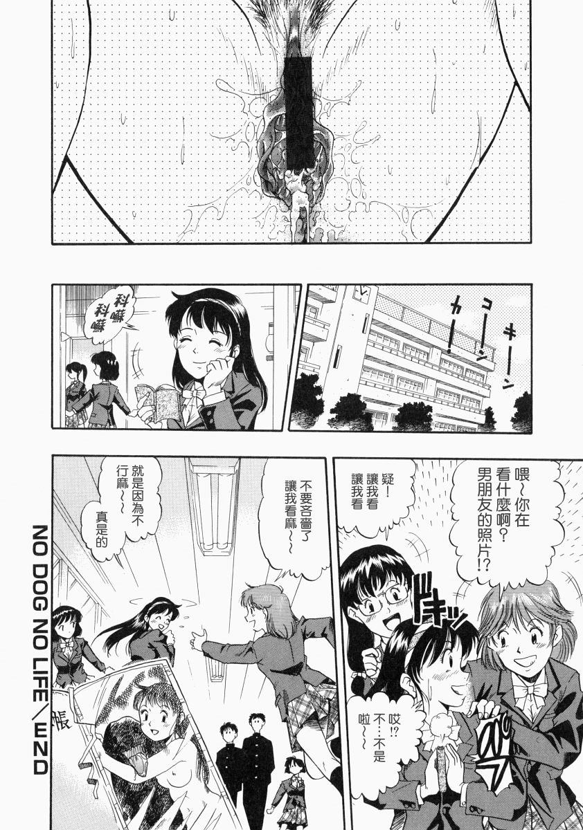 nodognolife_118