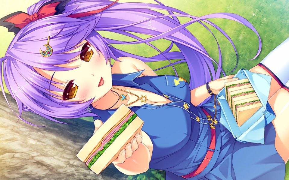 ponkotsu_0742