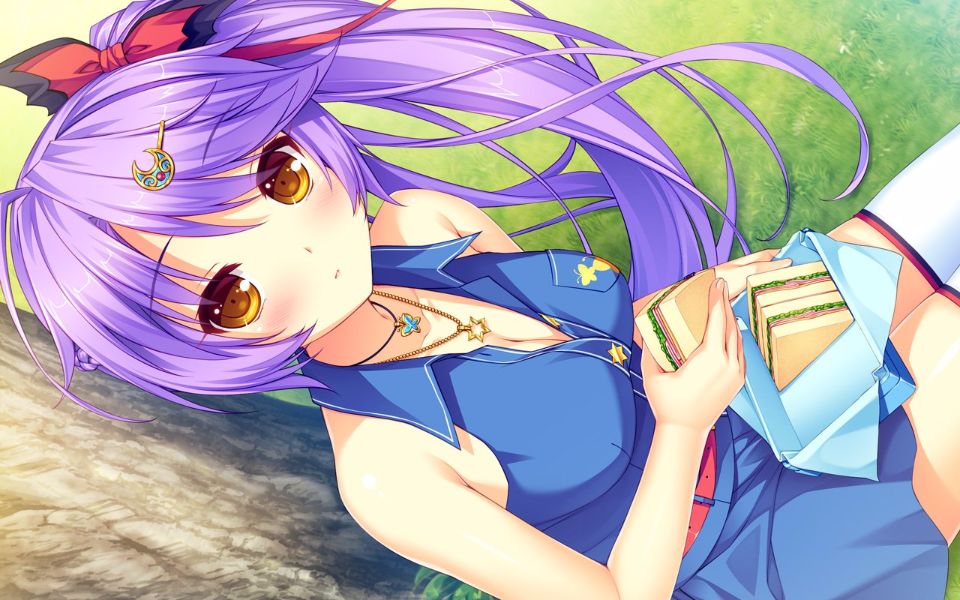 ponkotsu_0746