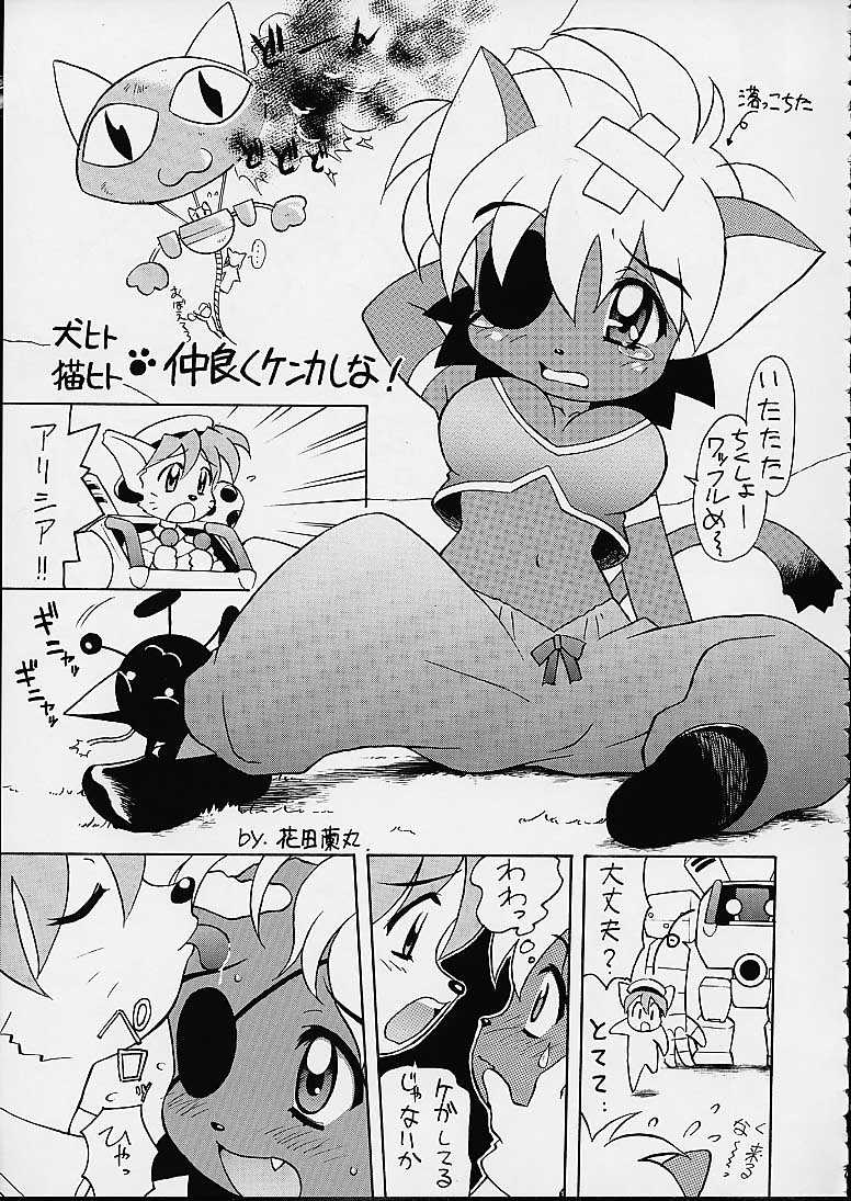timtim123_004