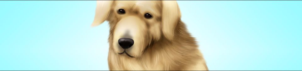 0005_DOG040000_pos_0_149