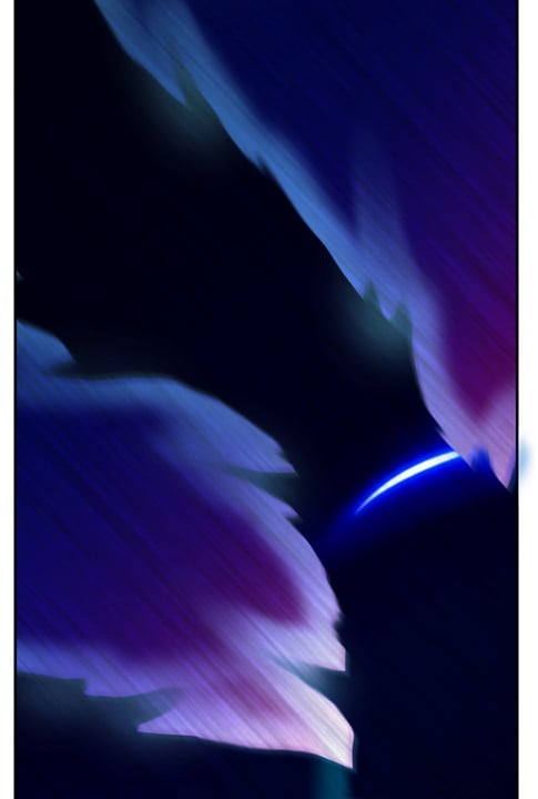 0372_EVB05EX_0184