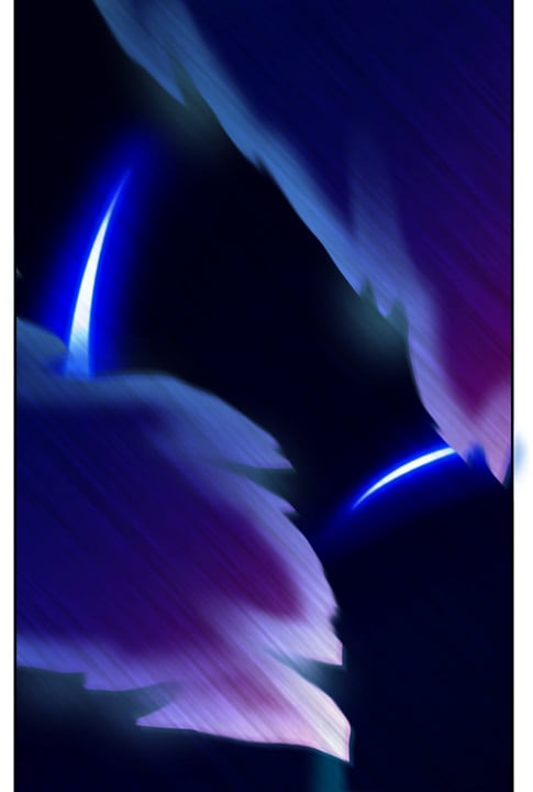 0373_EVB05EX_0185