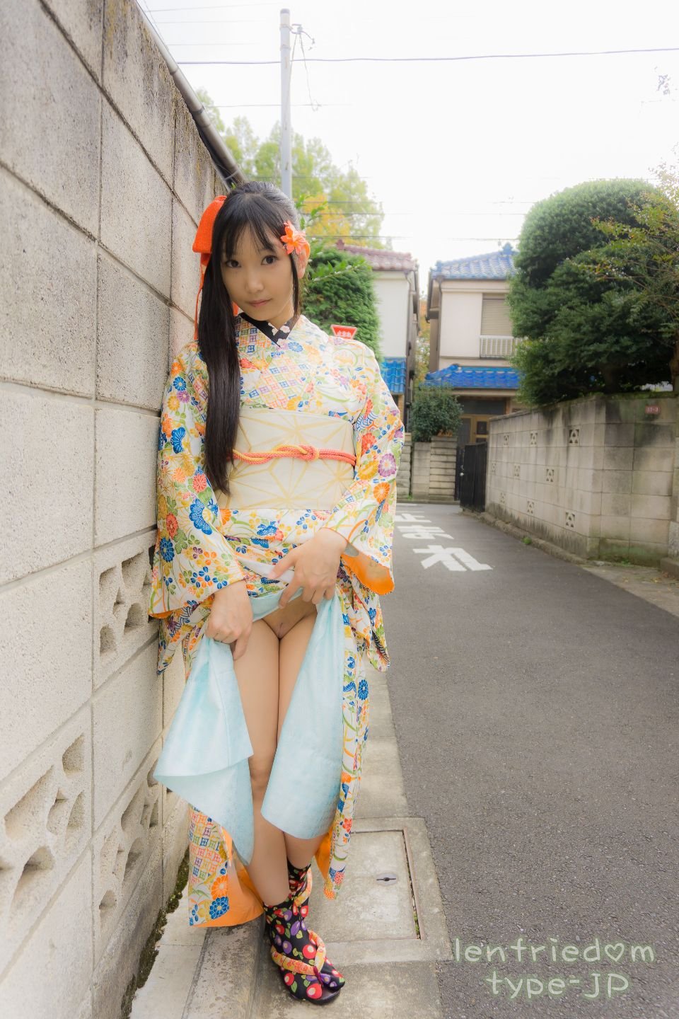 lenfriedomTypeJP_100