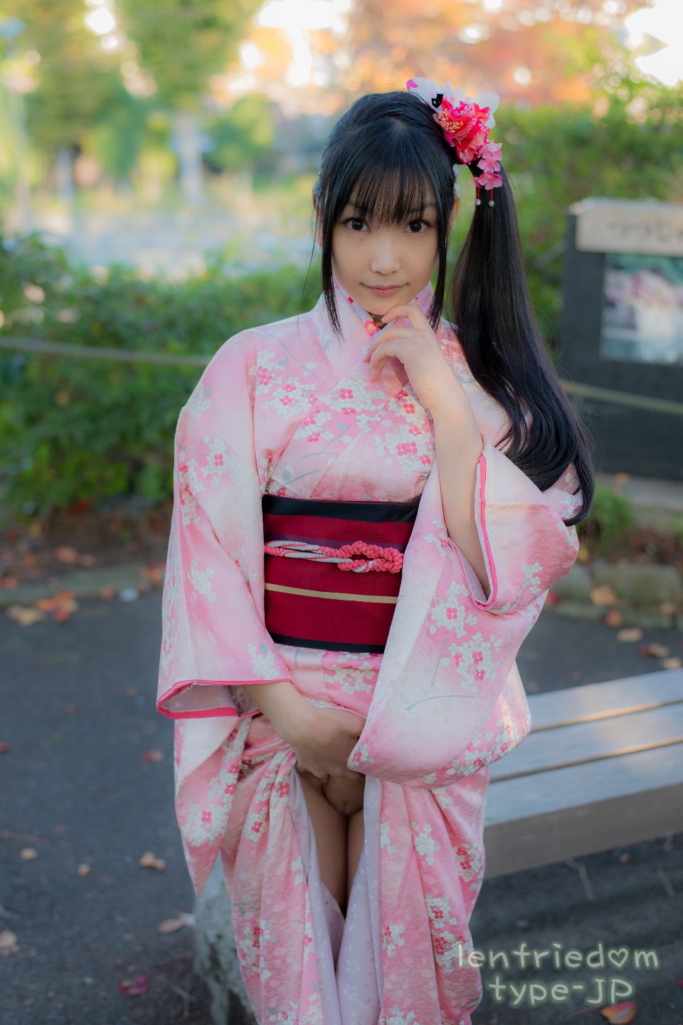 lenfriedomTypeJP_227