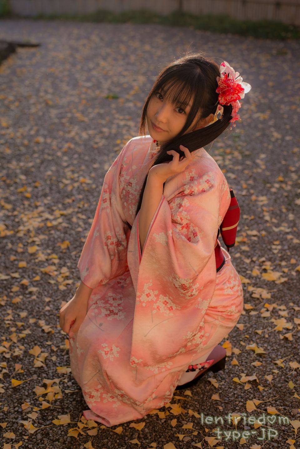 lenfriedomTypeJP_232