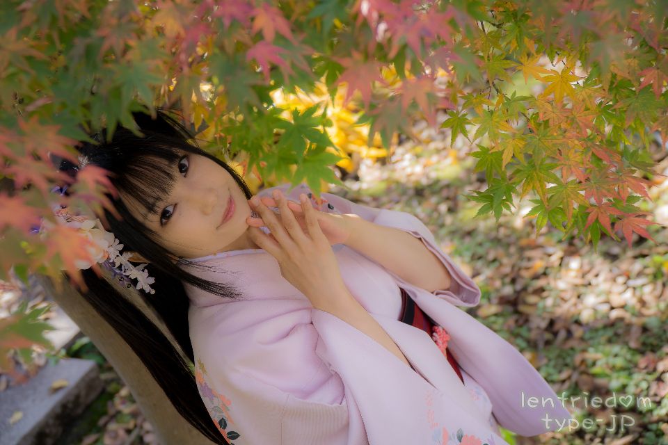 lenfriedomTypeJP_254