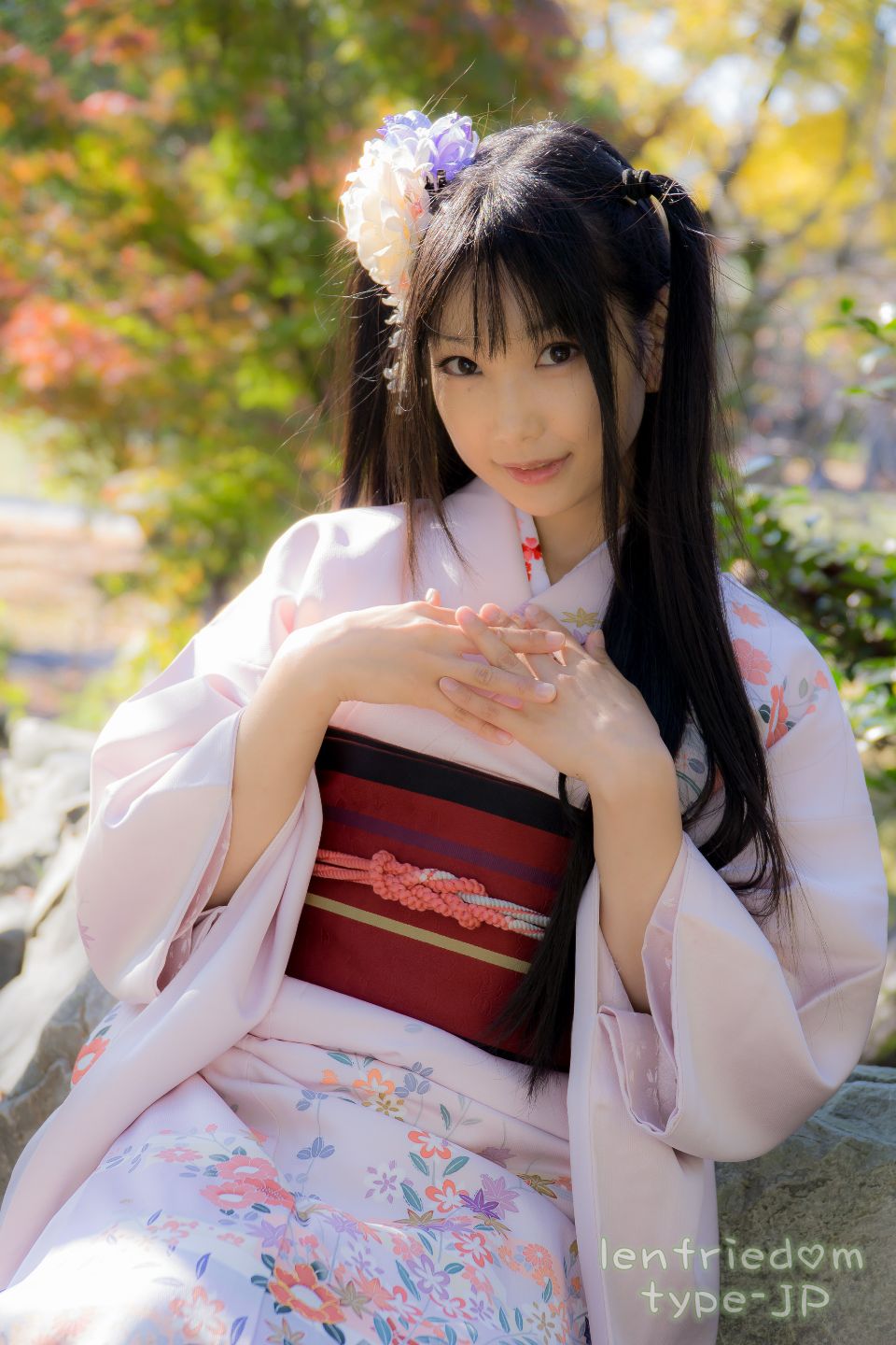 lenfriedomTypeJP_259