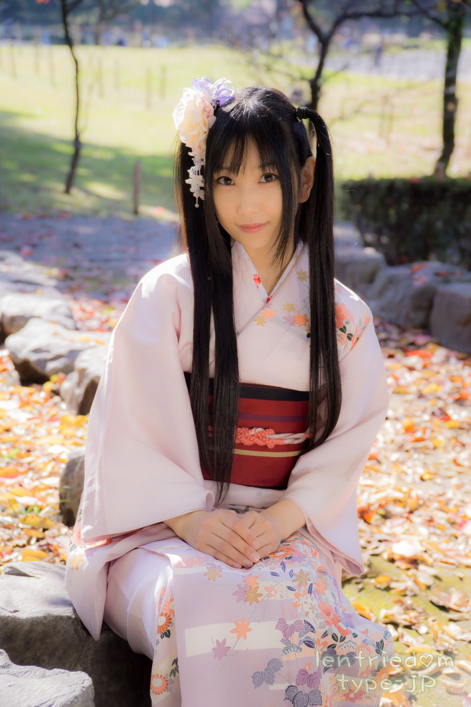 lenfriedomTypeJP_273