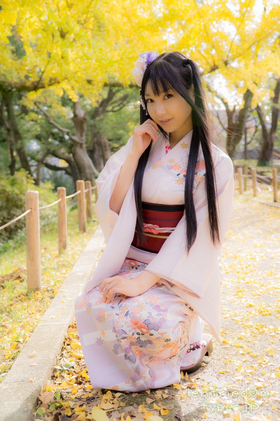 lenfriedomTypeJP_293